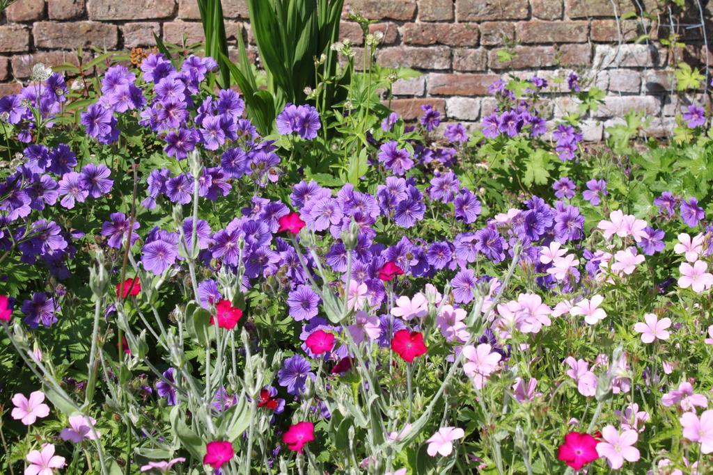 Ballinacourty House B&B Tipperary Zewnętrze zdjęcie