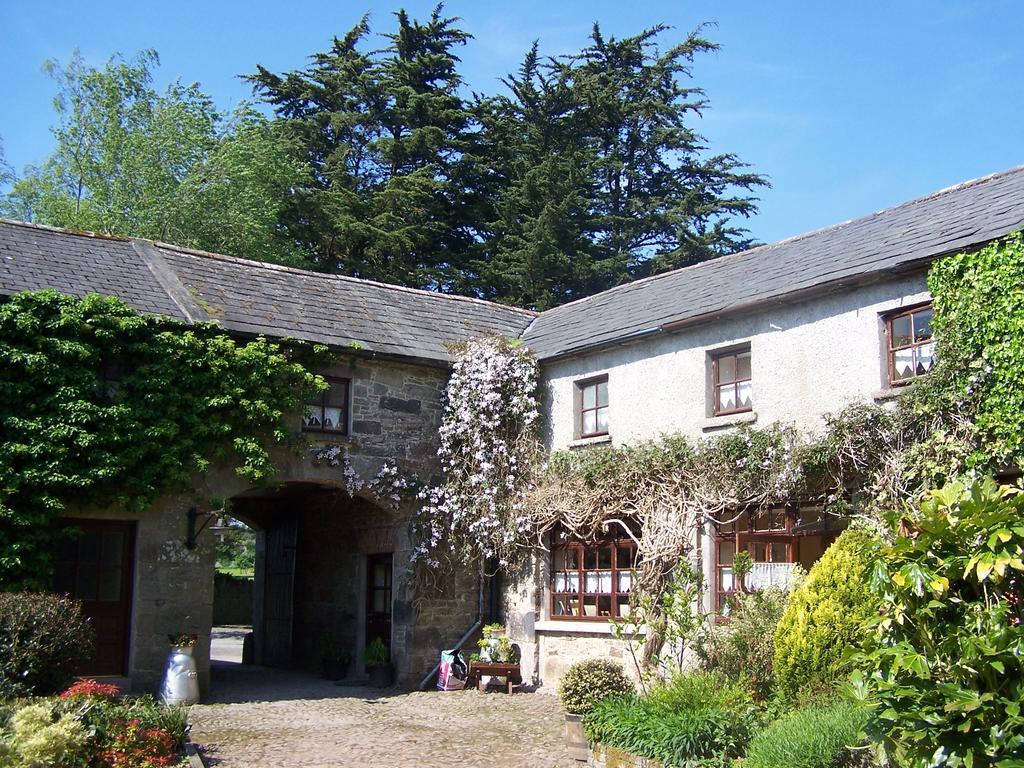 Ballinacourty House B&B Tipperary Zewnętrze zdjęcie