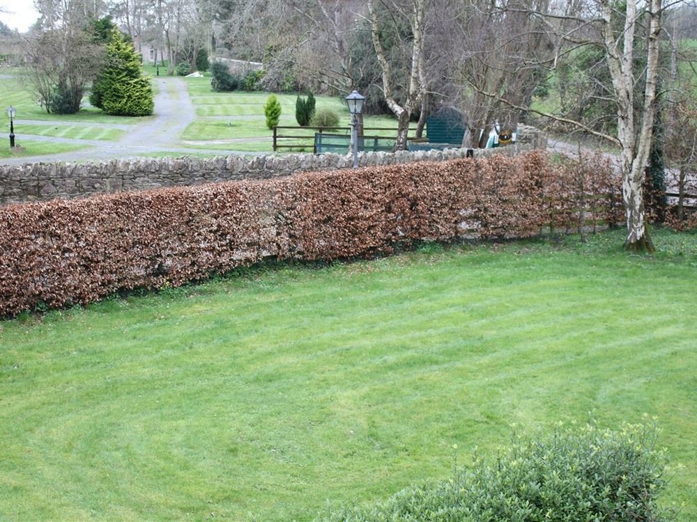 Ballinacourty House B&B Tipperary Zewnętrze zdjęcie