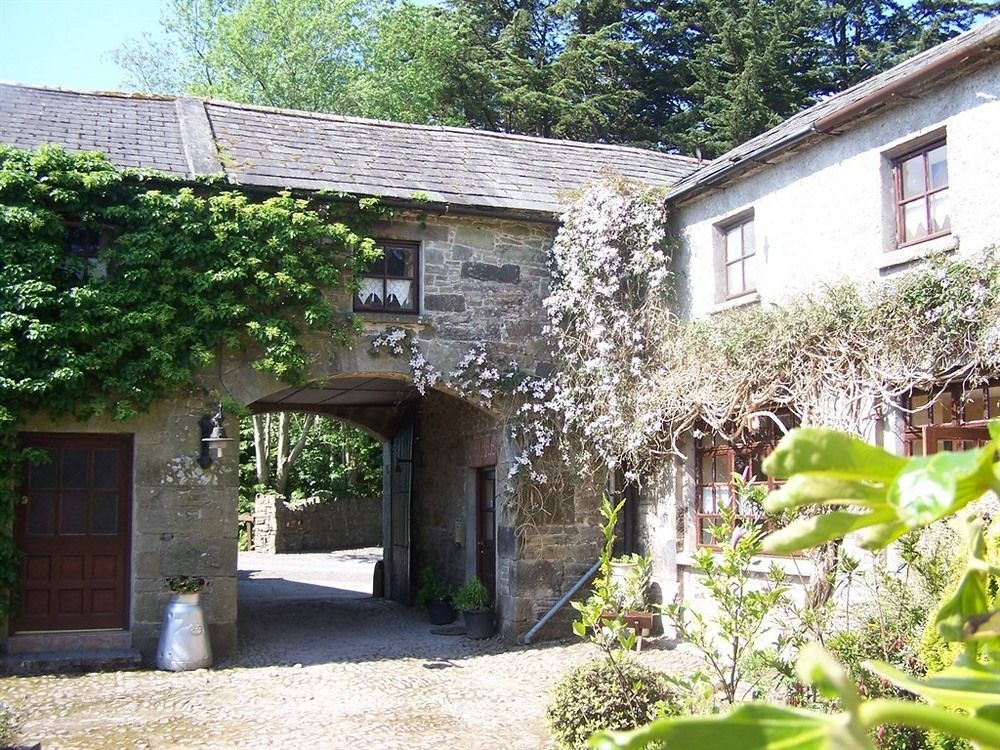 Ballinacourty House B&B Tipperary Zewnętrze zdjęcie